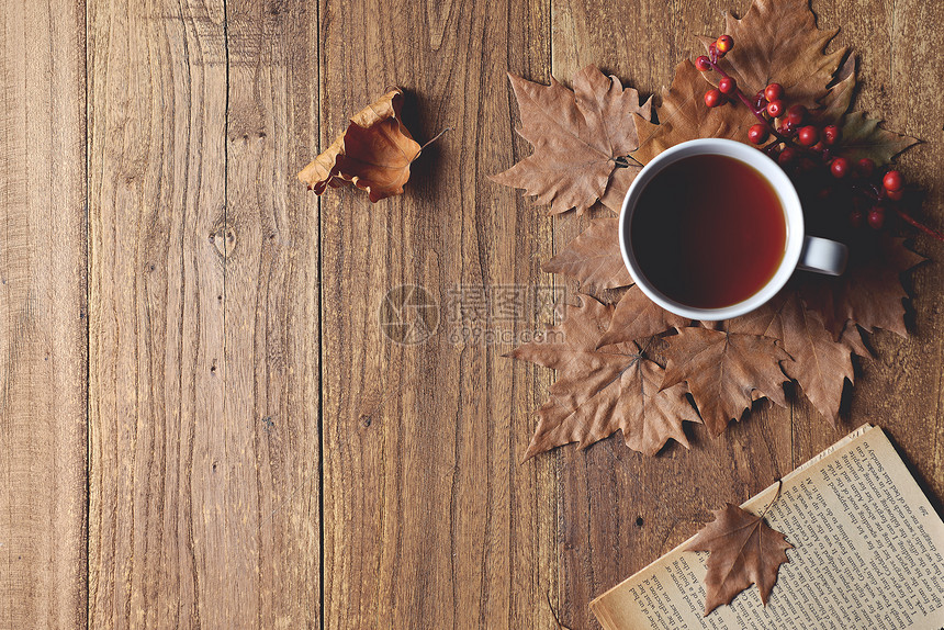 咖啡秋天树叶图片