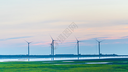 台湾旅行台湾台中高美湿地背景