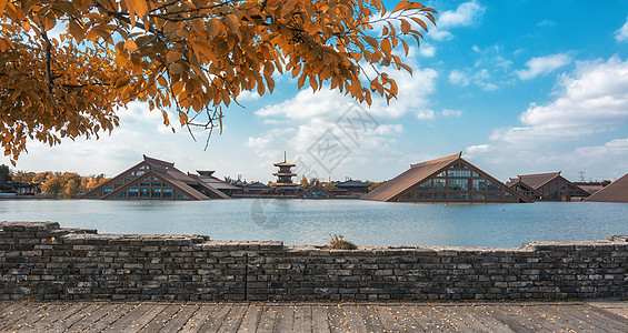 树叶中建筑上海广富林文化遗址背景