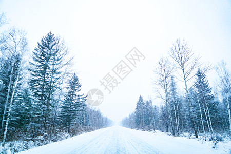 下雪的公路图片