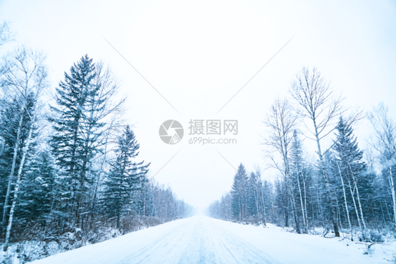 下雪的公路图片
