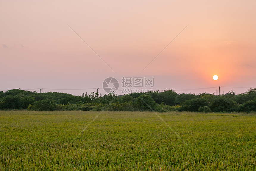 秋日黄昏下的农田图片