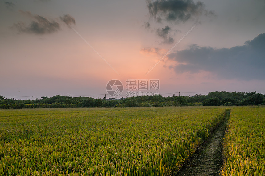 秋日黄昏下的农田图片