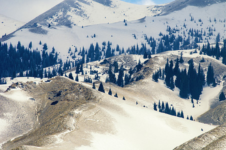 雪地森林新疆雪山雪原背景