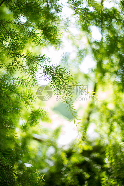 罅隙里的阳光