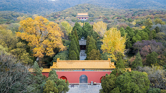 南京明孝陵秋景图片