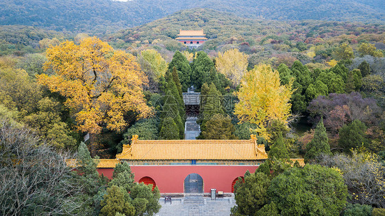 南京明孝陵秋景图片