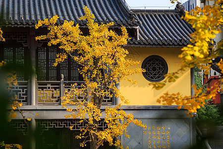 九寨沟秋天南京毗卢寺背景