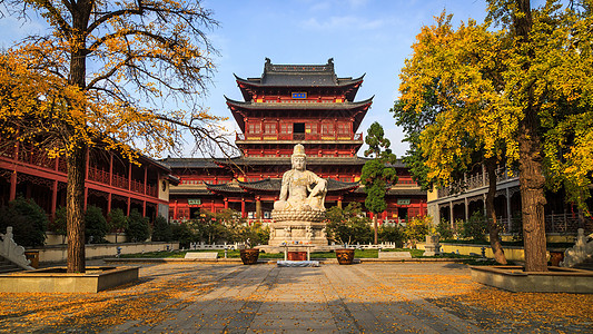 金色银杏南京毗卢寺背景