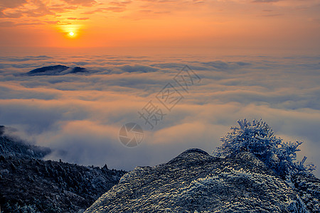 冬季太阳浙江括苍山日出云海与雾凇美景背景