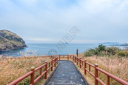 韩国济州岛风光韩国济州岛秋季海边风光背景