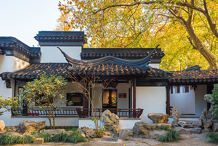 秋季旅游江苏南京园林秋色背景