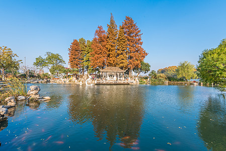 公园城市江苏南京玄武湖秋色迷人背景