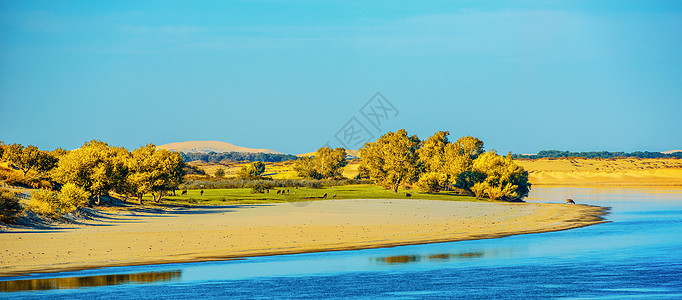 沙漠胡杨林沙漠河流胡杨背景