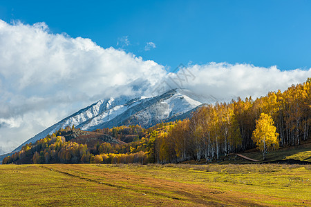 北疆雪山草原风光高清图片