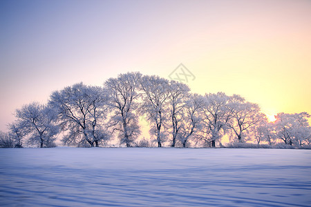 雪花纷飞雾凇岛风光背景