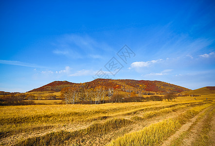 徒步行秋天的木兰围场蓝天白云背景