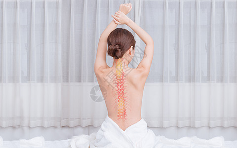 脊椎矫正养生脊梁骨高清图片