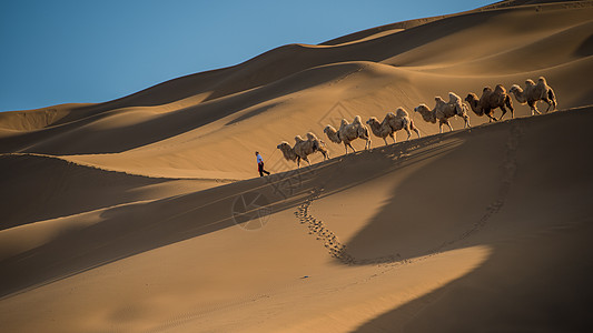 户外旅游沙漠驼铃背景