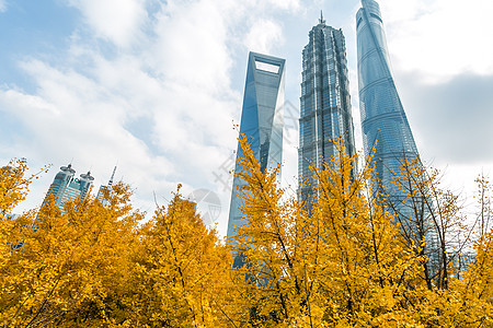 黄色大楼秋天的上海陆家嘴建筑背景