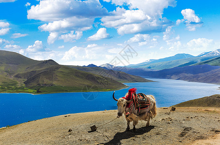 西藏西藏 天堂以上高清图片