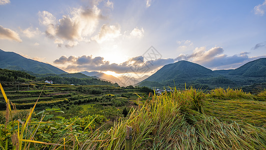 浙江乡村日出背景