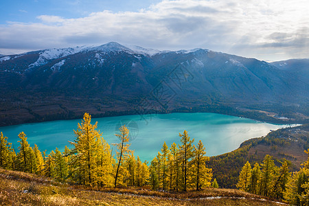 俯瞰草地喀纳斯湖风光背景