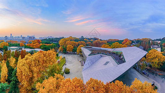 校园风光湖北武汉大学建筑背景