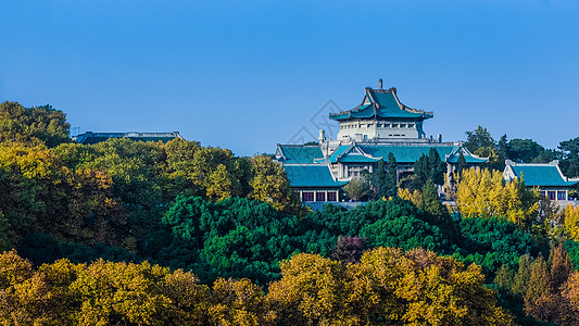 秋森林湖北武汉大学建筑背景