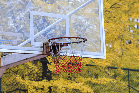 银杏树边的篮球场背景图片