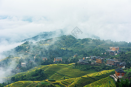 户外背景雾中的田园梯田古寨景色背景