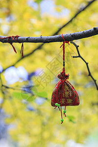 新年祈福许愿图片