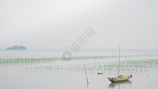 盐雾广东盐洲风光背景