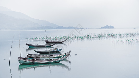 盐雾广东盐洲景色背景