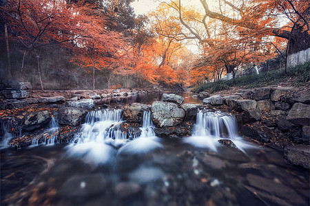 流水小溪九溪瀑布与枫叶背景