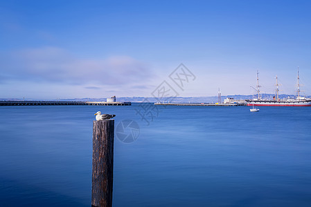 美国加州拉古纳海港高清图片