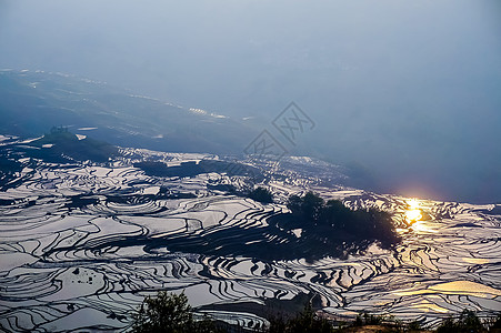 云南元阳梯田落日背景图片