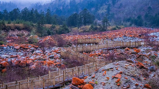 四川红石滩公园背景图片