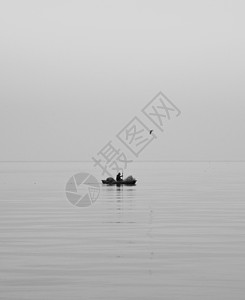 小船与海鸥黑白滇池背景