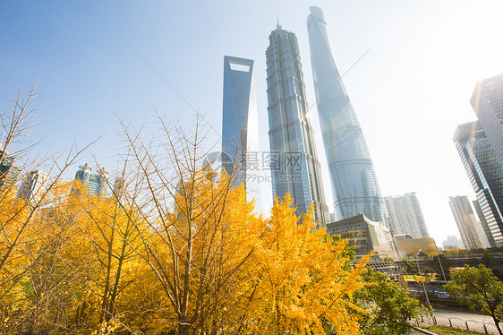 上海地标陆家嘴建筑图片