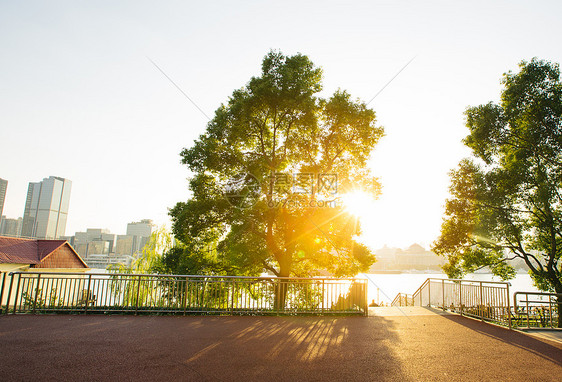 夕阳下的公园图片