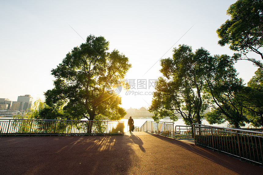 夕阳下的公园图片