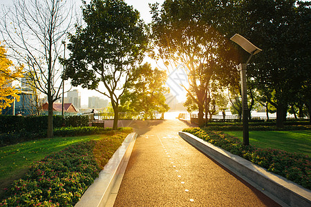 公園夕阳下的公园背景