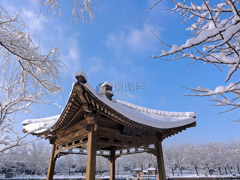 雪景图片