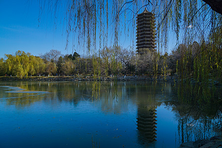 北京大学初冬的北大未名湖湖畔背景