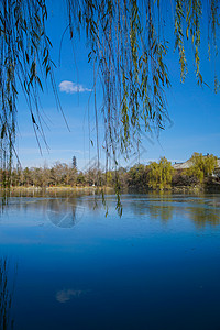 北京初冬的湖边高清图片