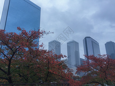 秋冷秋天大阪的街景背景