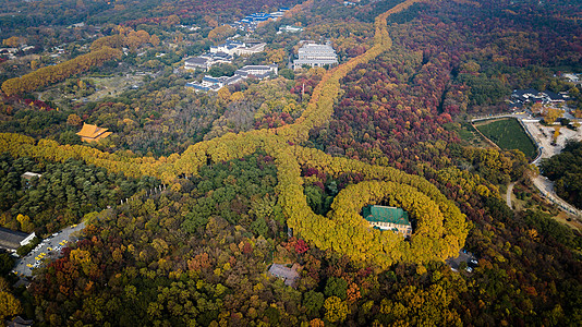 南京城市南京宋美龄项链背景