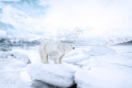 雪山 湖水雪域冰山设计图片