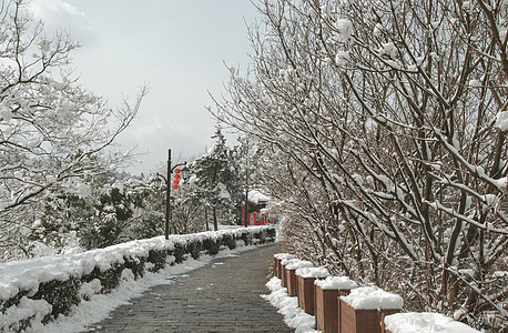 山中雪景图片